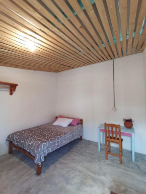 Casa de los gatos
